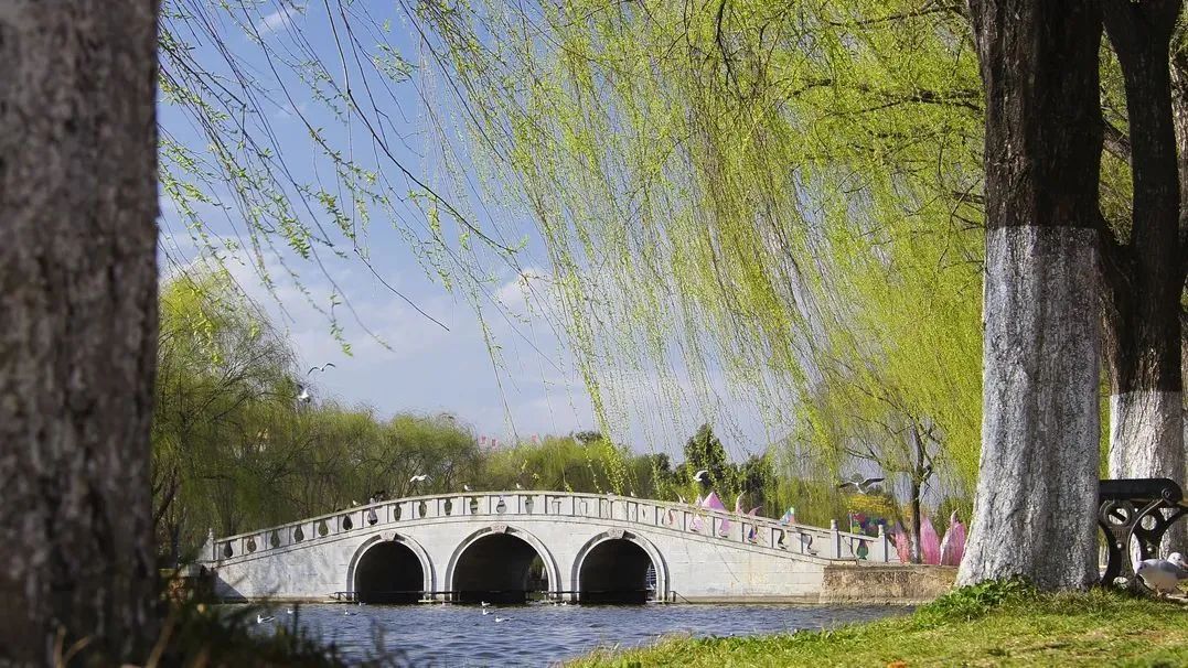 含春的诗句飞花令1-5年级,含春的诗句飞花令100首