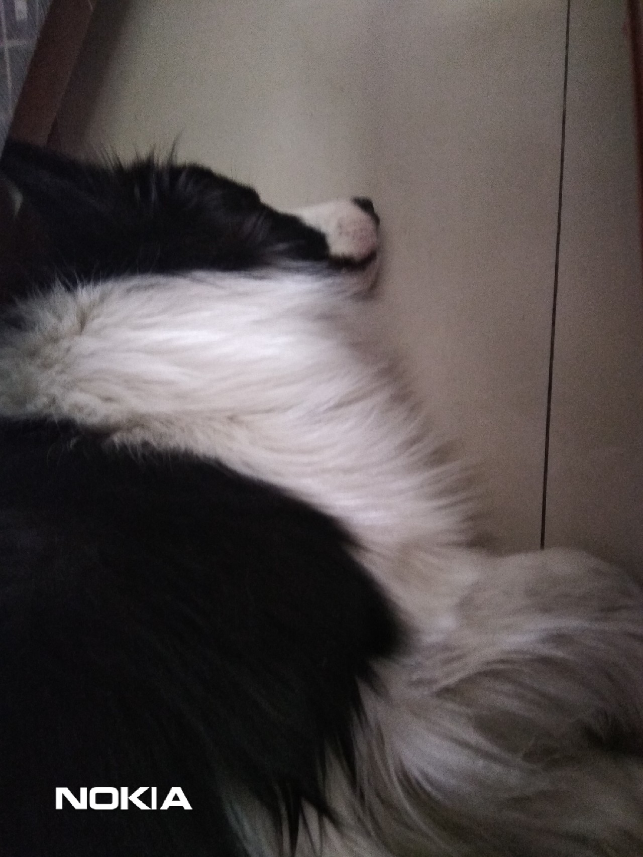 手作轻竹路亚之四选绑线，亲测蚕丝VS大力马