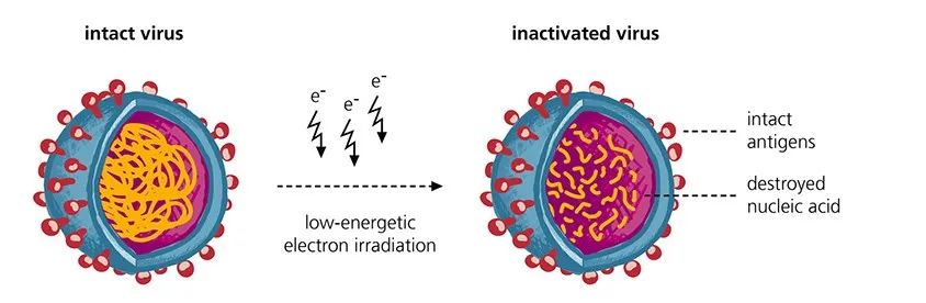 来，让我们认真地聊聊新冠疫苗