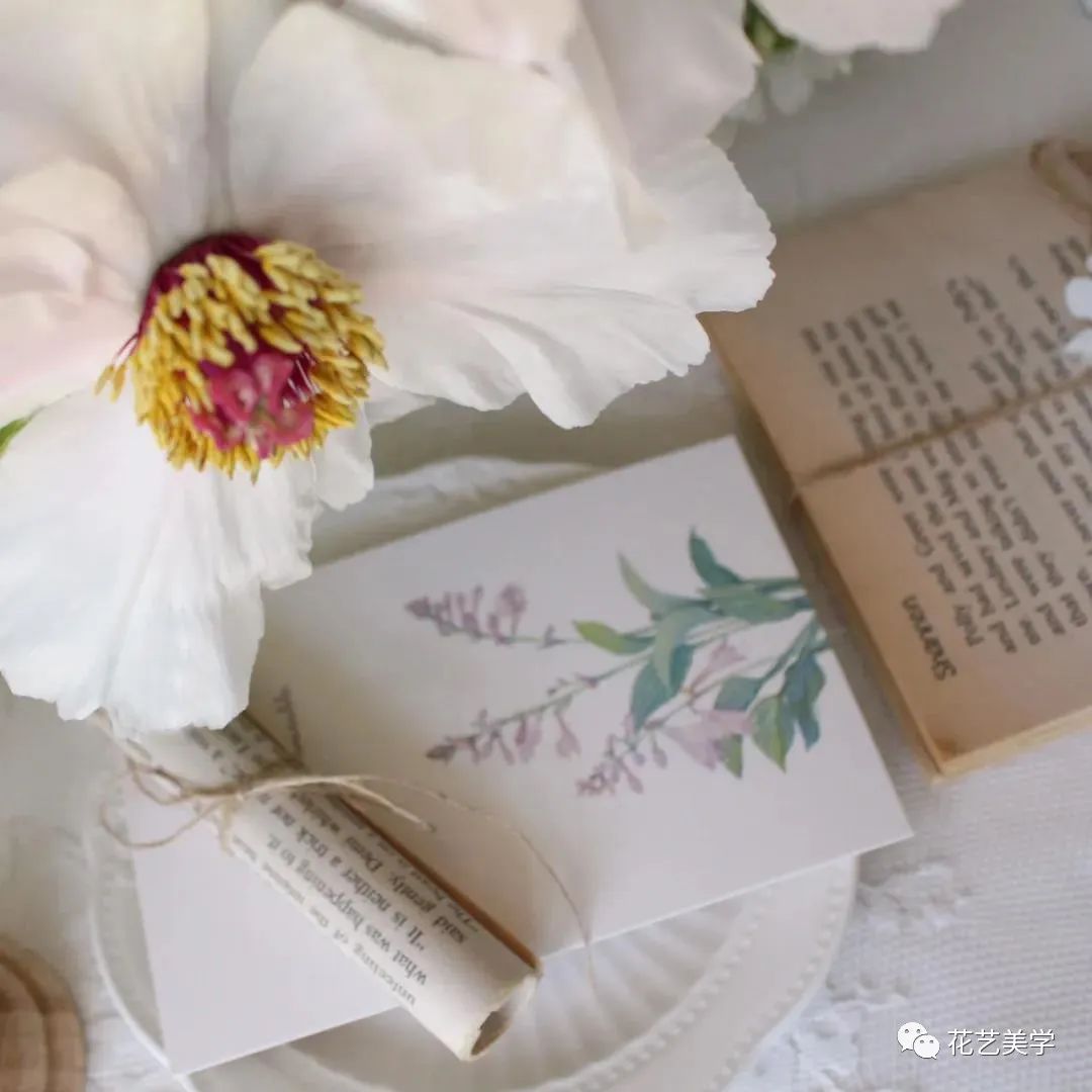 油牡丹有哪些颜色,春季油牡丹图片