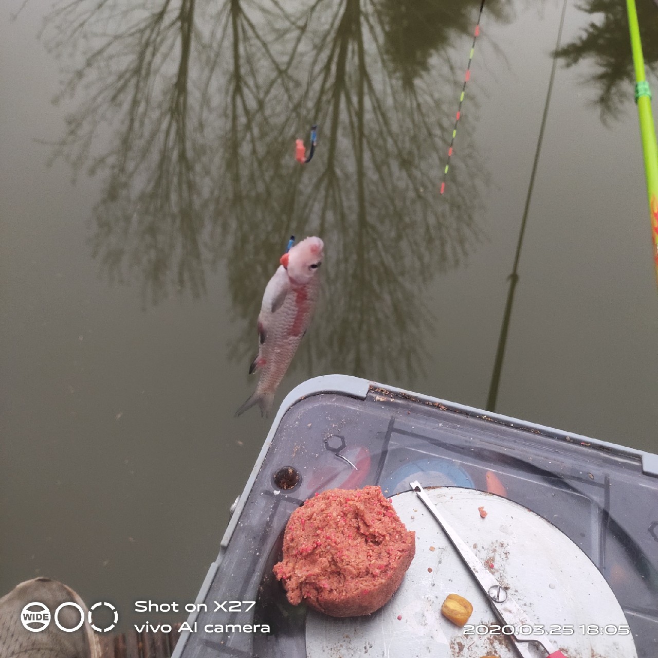 夜钓1号爆护位，人家鲤鱼爆护，我鲤毛未见