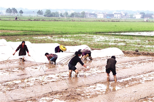湖南省复产复工安排,永州零陵工业园全部复工复产了吗