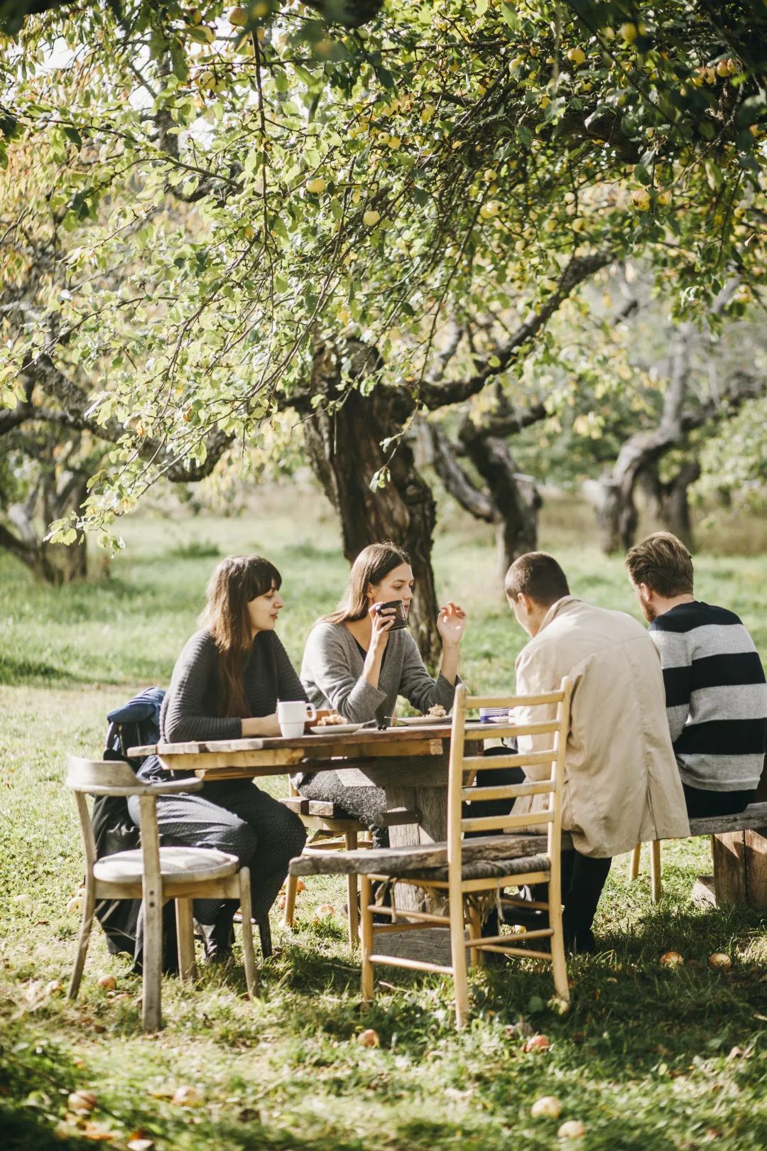 宅家的日子里也要过好,宅家的日子倒插门