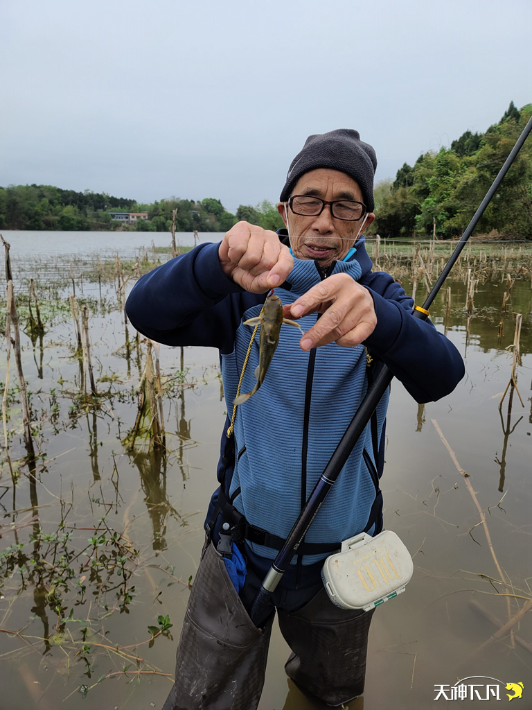 凤凰涅盘浴火重生对火的崇拜,凤凰涅盘浴火重生需要的是勇气