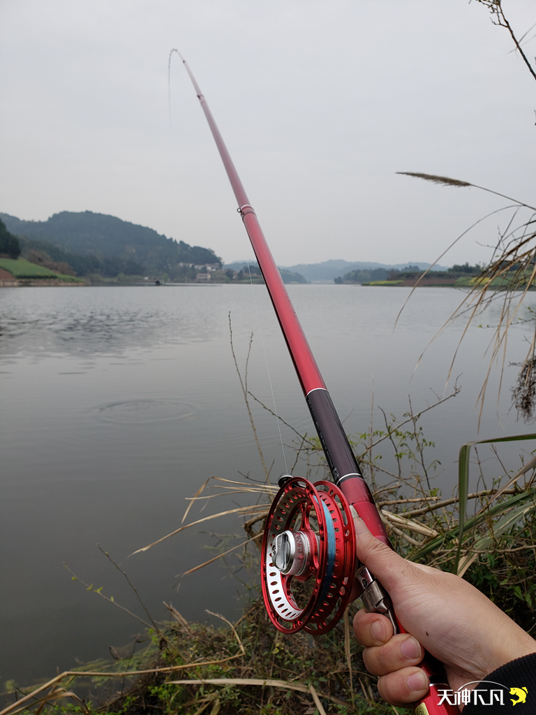 凤凰涅盘浴火重生对火的崇拜,凤凰涅盘浴火重生需要的是勇气
