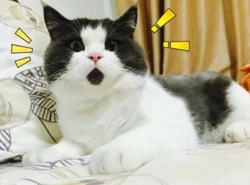 设计师接私活被开除能补偿吗,设计师接私活背后的真相