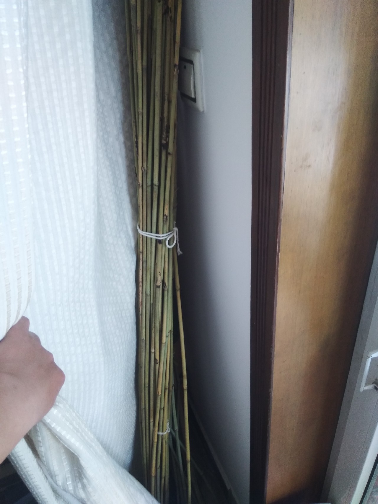 竹制并继竿手感怎么样,自制并继竿需要什么竹子