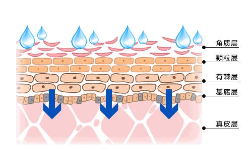 三明治敷面膜的方法,三明治敷面膜法