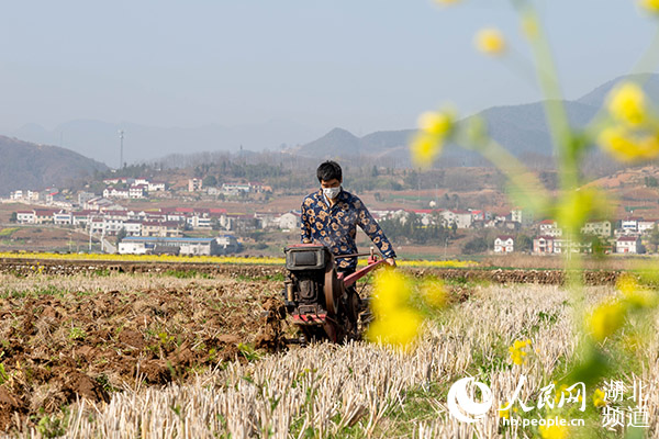复工复产勤春耕乡村振兴正当时,复产春耕忙