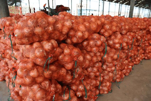 红皮洋葱低价走货,云南紫皮洋葱现挖现发5斤9斤包邮