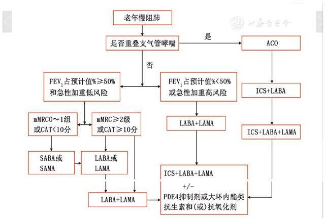 慢性阻塞性肺疾病诊治指南2021,老年慢性阻塞性肺疾病处方
