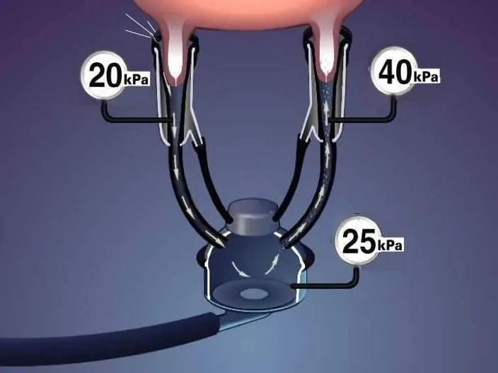 奶牛养殖技术难题及答案,奶牛接产常见问题