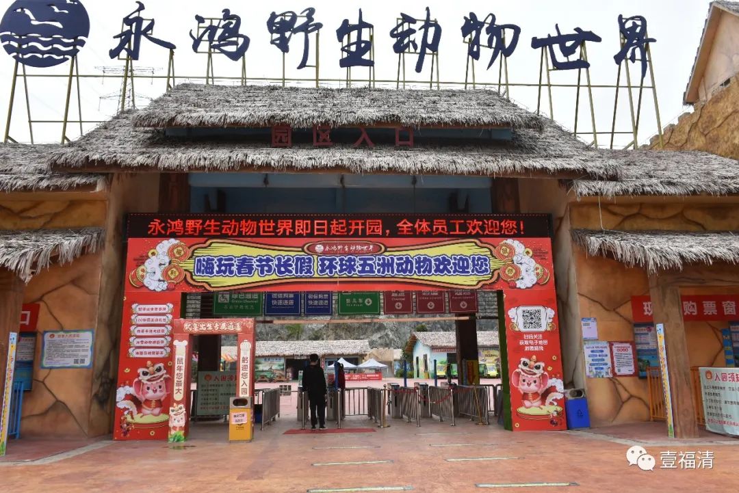 福清永鸿野生动物园要准备什么,夜游福清永鸿野生动物世界