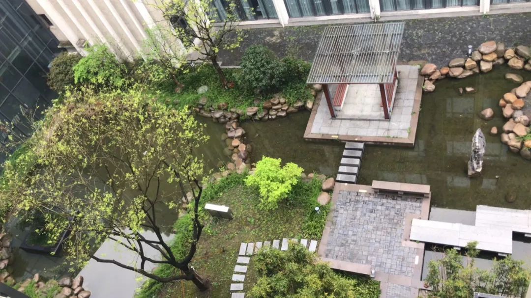 归国留学生14天隔离日记：隔离中三次测核酸是什么体验？