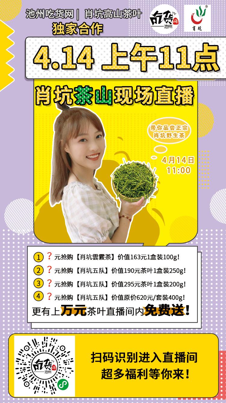 2020新茶上市|肖坑邀您一起直播采茶！