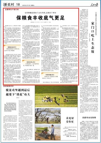 湖南力保早稻种植,湖南今年粮食丰收情况