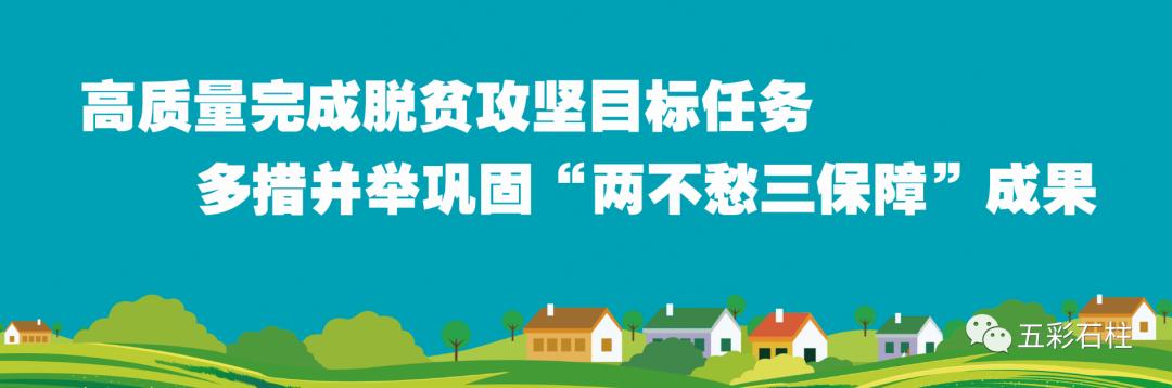 石柱公示网,石柱十大企业