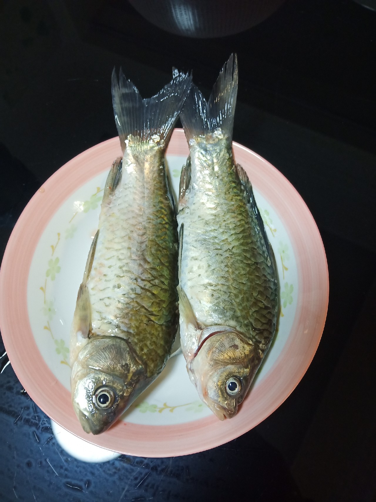 台钓vs路亚哪个更好玩,传统钓比台钓更容易钓获大鲫鱼