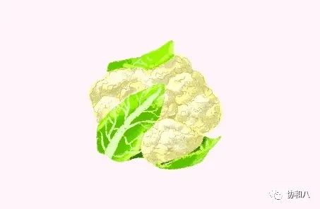 复习这些名解时总觉得怪饿的|协和八·脑洞大开