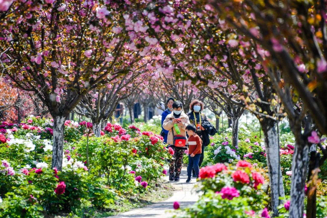 常州周末旅游景点推荐,常州最美乡村