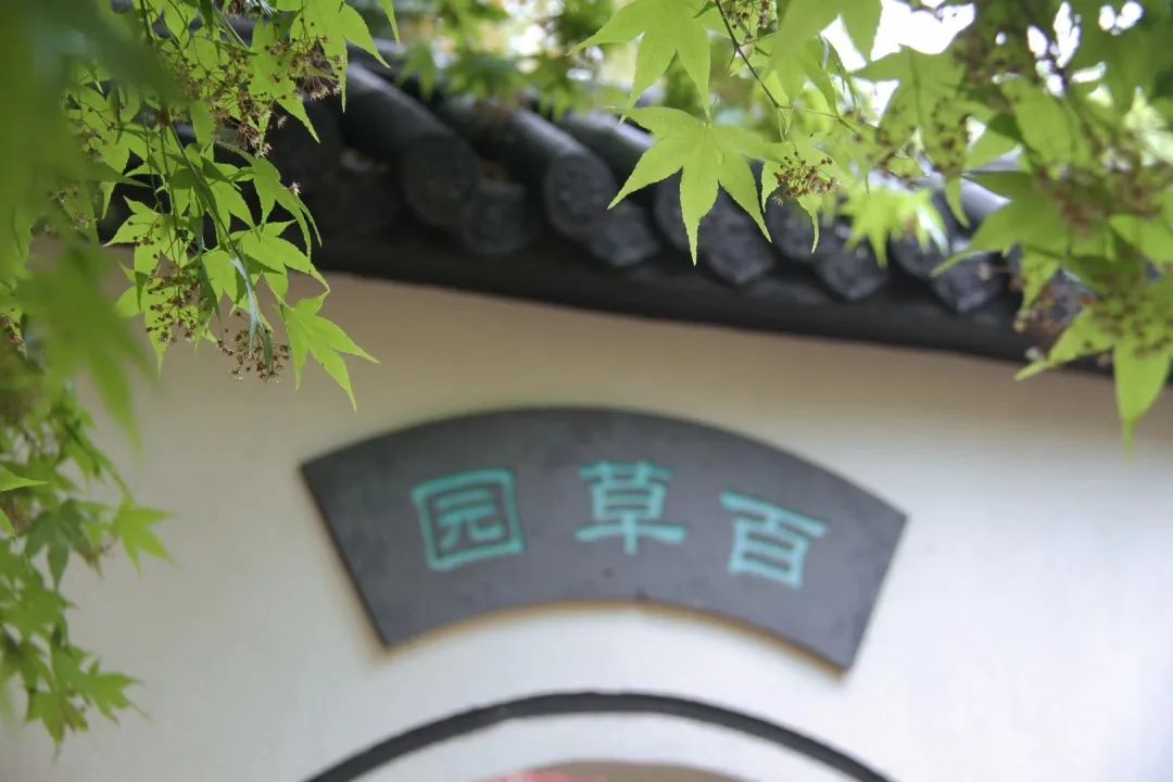 四月校园联谊,四月相聚