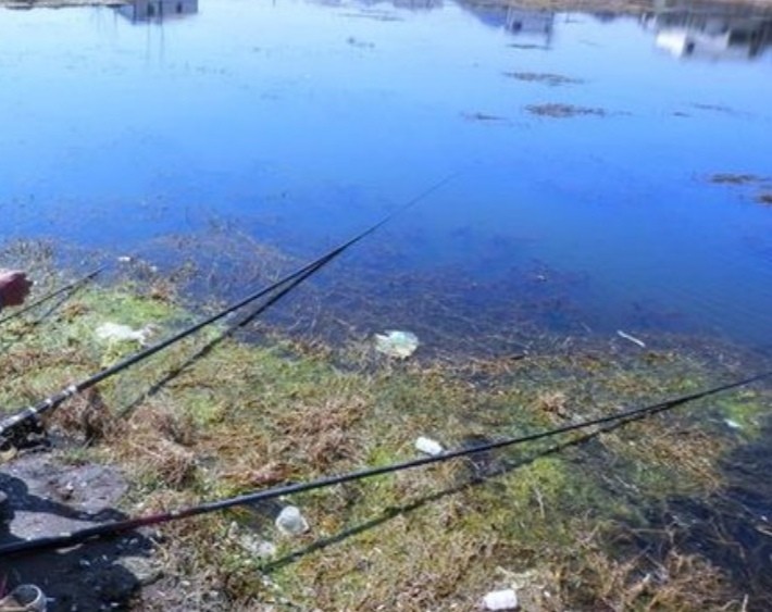 钓大草鱼如何起竿,钓大草鱼诀窍揭秘