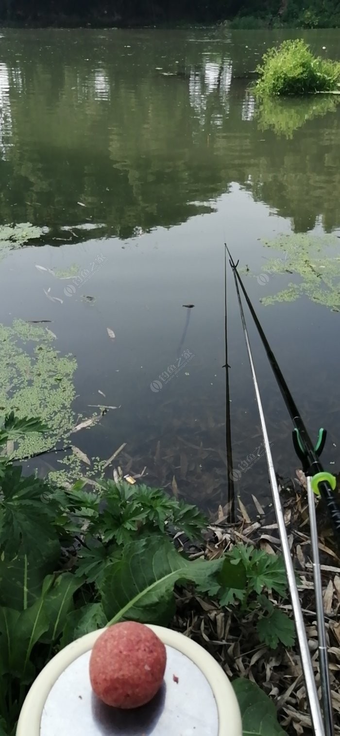 北方11-12月野钓策略,冬季野河野钓思路