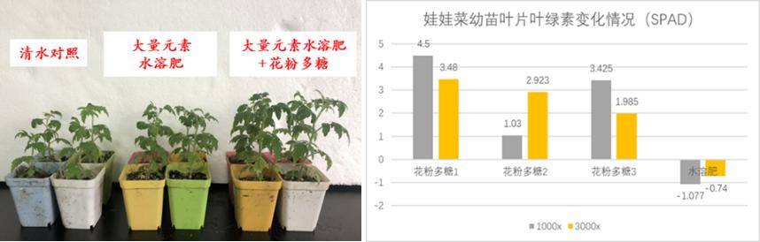 新一代生物刺激剂,植物源生物刺激剂