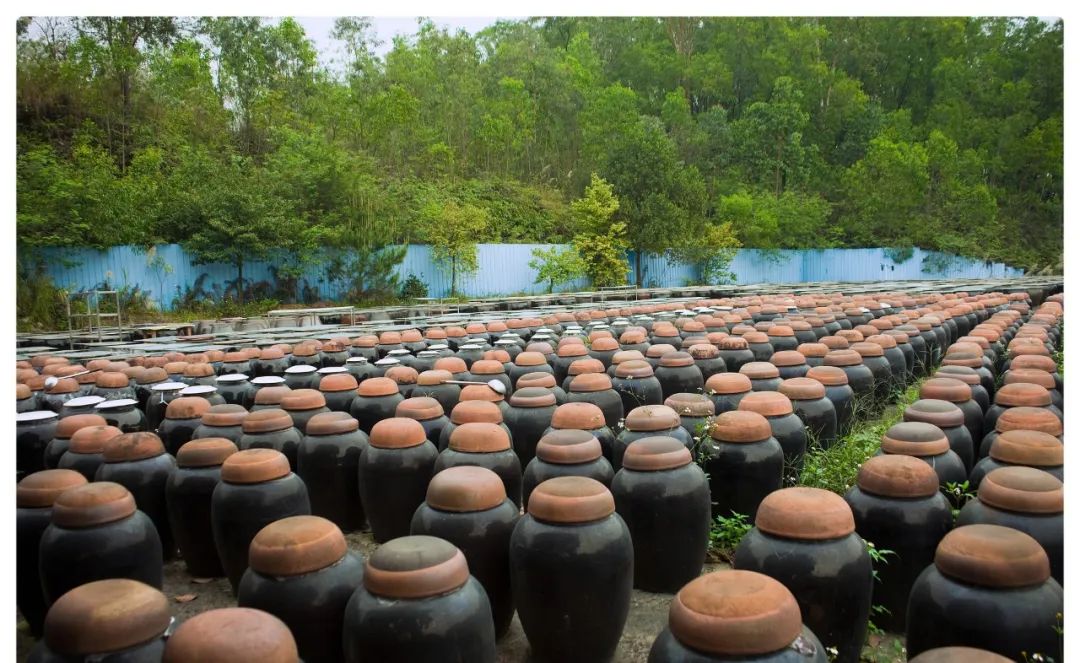 五谷是什么分别指哪些,五谷是什么五谷具体是哪5种