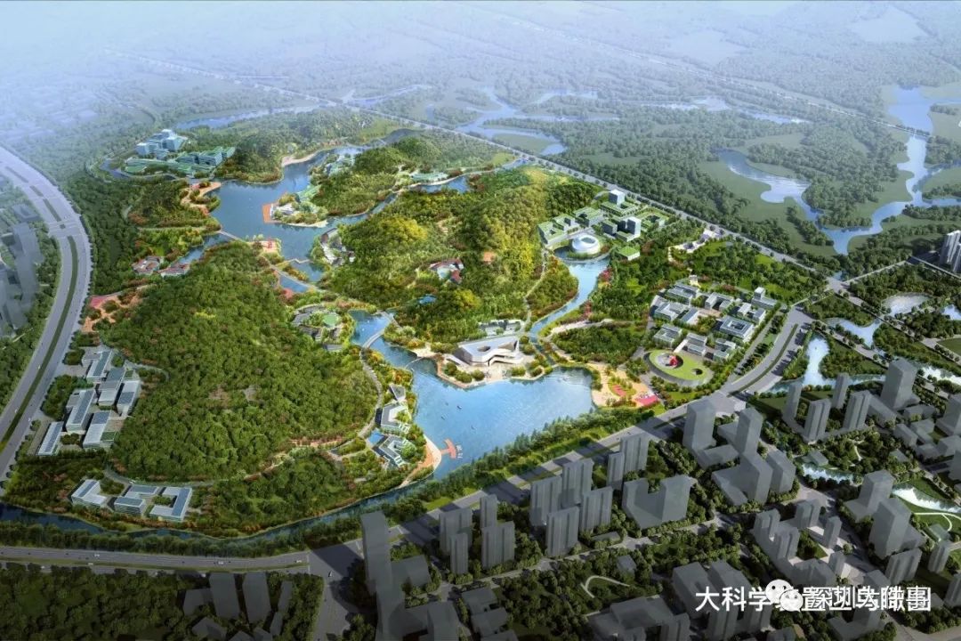 深圳，这只老虎终于要发威了