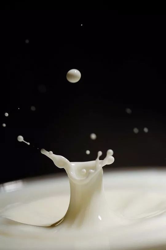 这些关于饮用牛奶的小知识,关于牛奶生活中的小窍门