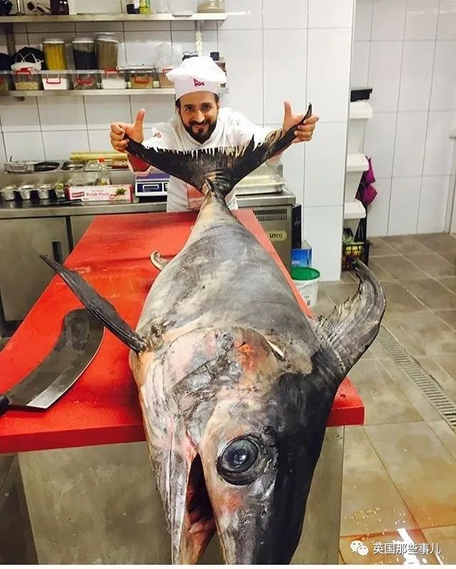 娣辨捣鎬奔缇庨,娣辨捣鎬奔鍒朵綔