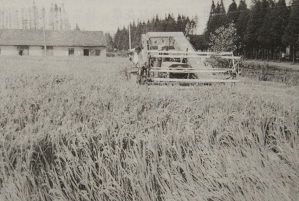 而立浦东首发活动,而立浦东再出发