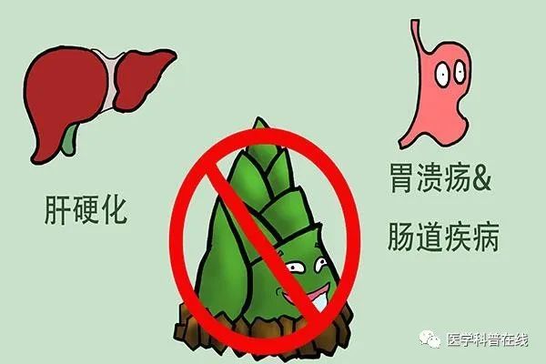 春笋为什么伤胃,春笋伤胃怎么处理