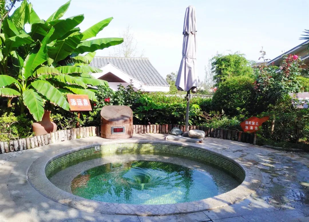 凤凰温泉99元套餐,凤凰温泉特惠票