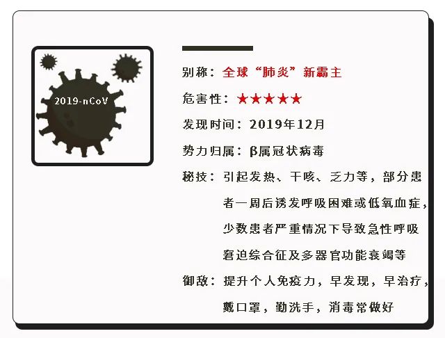 冠状病毒真相曝光,新型冠状病毒族谱
