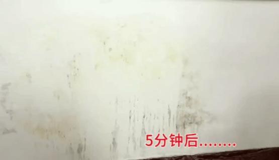 除霉神器,哪些好用又便宜的去霉神器