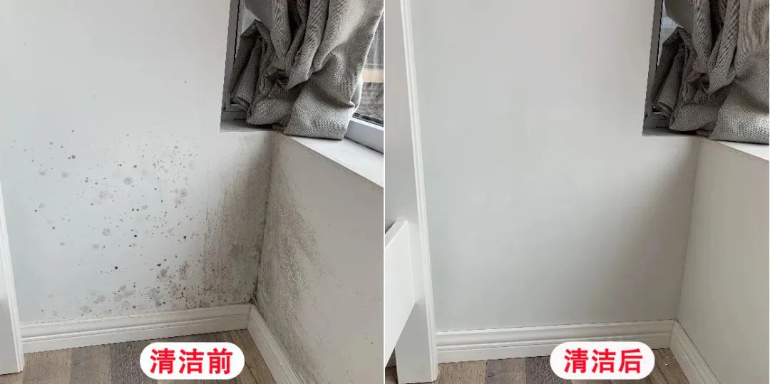 除霉神器,哪些好用又便宜的去霉神器