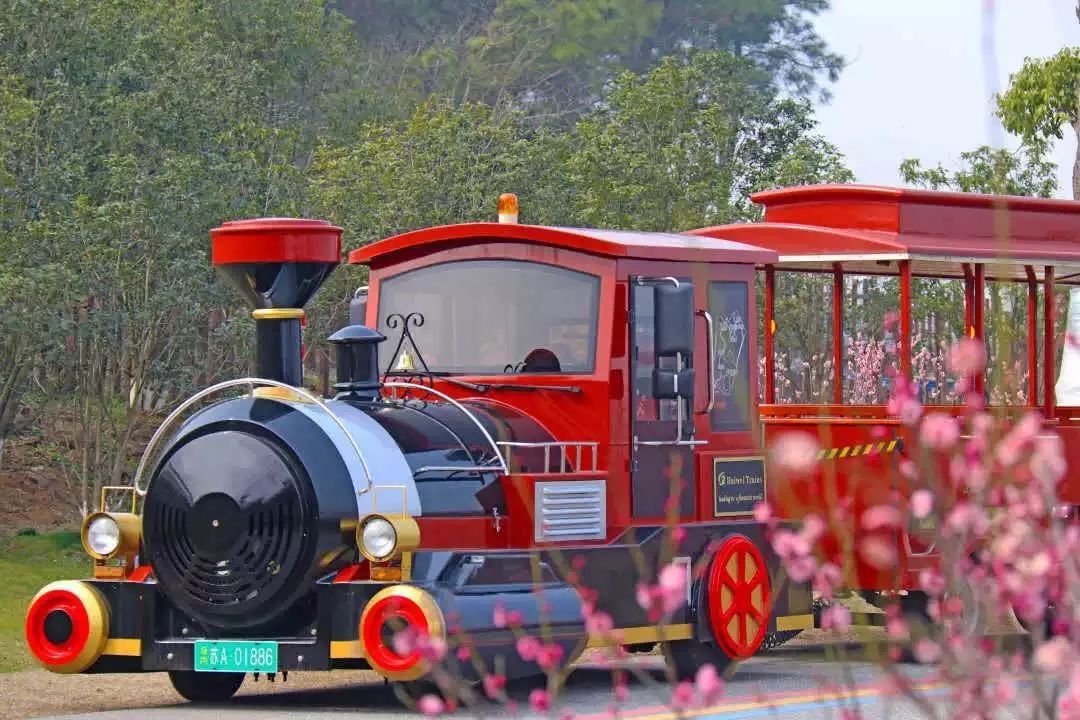 踏青江宁,南京江宁踏青赏花好去处