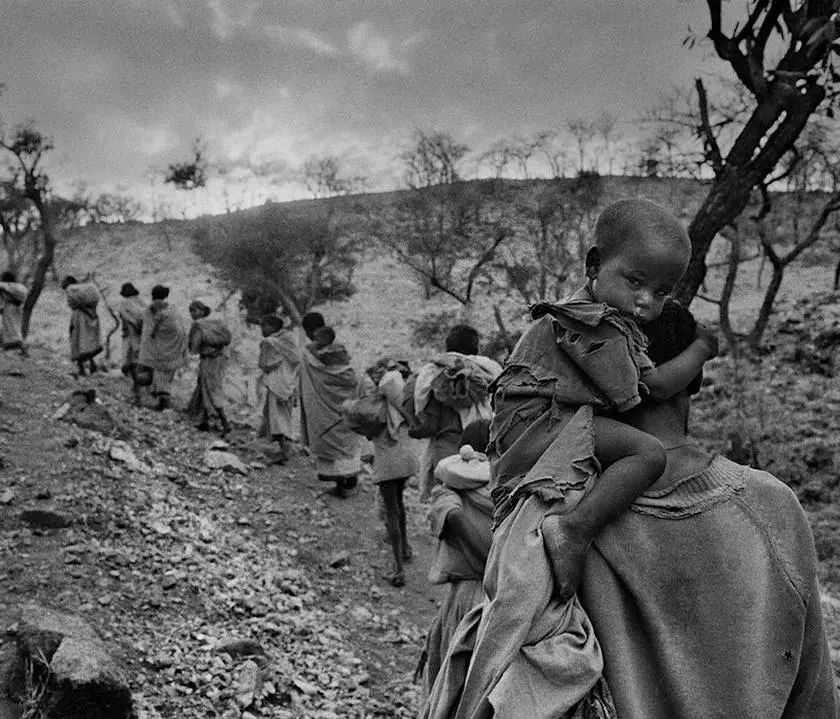 不平凡的2020年让我们更加懂珍惜,不平凡的2020值得我们一起铭记