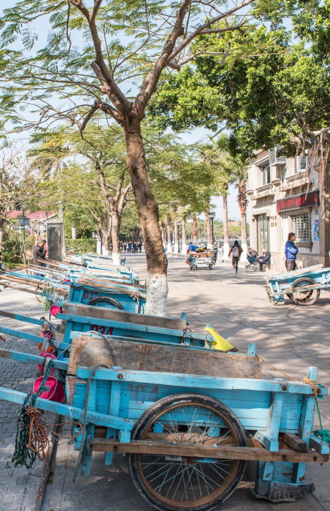 鼓浪屿值得住一晚吗,厦门鼓浪屿哪里值得玩
