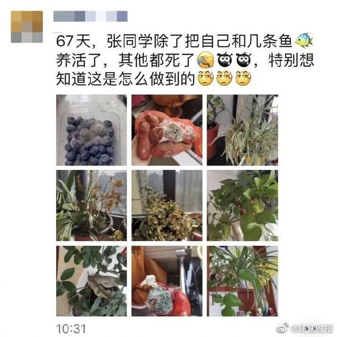 21日哈尔滨疫情最新通报,哈尔滨疫情最新通报31日