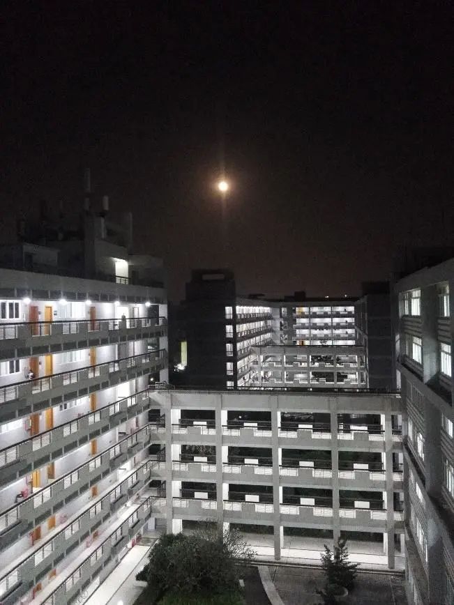 北大考研复试准备材料,2022年北大考研复试方式