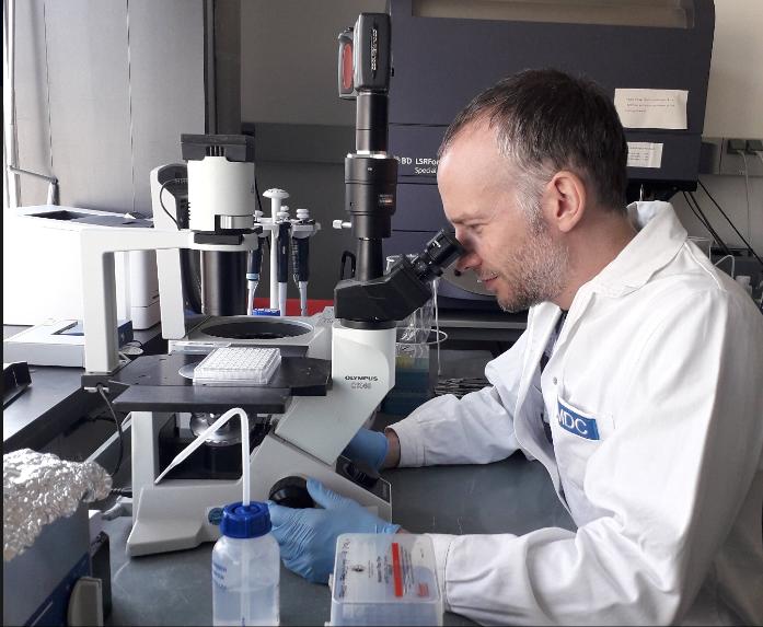 国外成功治疗多发性硬化症的案例,多发性硬化最新新药