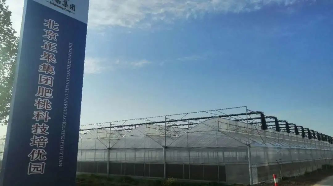 【桃园动态】中财华融国际金融集团到桃园镇实地考察调研