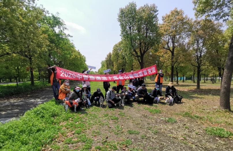 中青旅遨游本地生活,中青旅遨游旅行直播