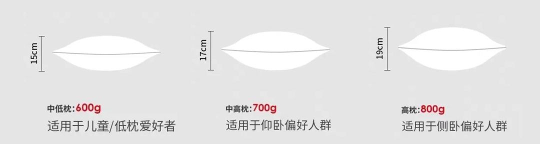 给五星酒店供货的德国大牌枕头,这里不到百元就能买到