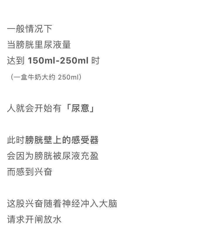 漫画科普：那些憋住的尿，最终都流向了哪里？