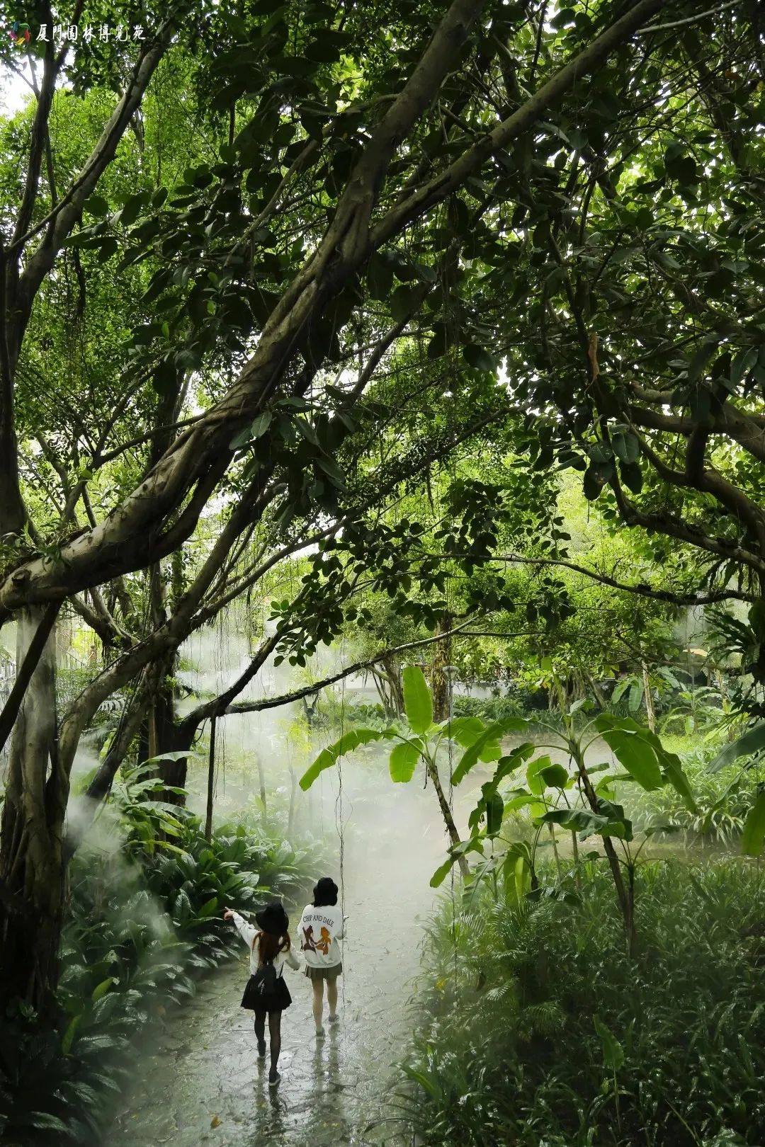 冬季的厦门婚纱照拍摄地点推荐,厦门婚纱拍摄地方推荐