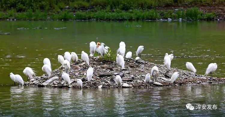 最惊艳的千岛湖,美丽壮观的千岛湖